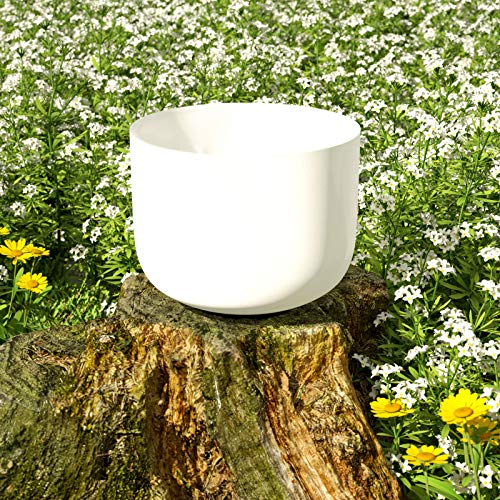 Klangschale Keliody aus mattiertem Kristallglas, 8 Inch, 20 cm