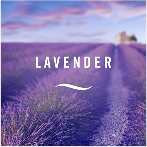 Febreze Air Mist Air Freshener Spray odour Eliminator Home & Office Fragrances - Cotton Fresh - Lavender - Blossom & Breeze - 185ml - Box of 3 - Image 3