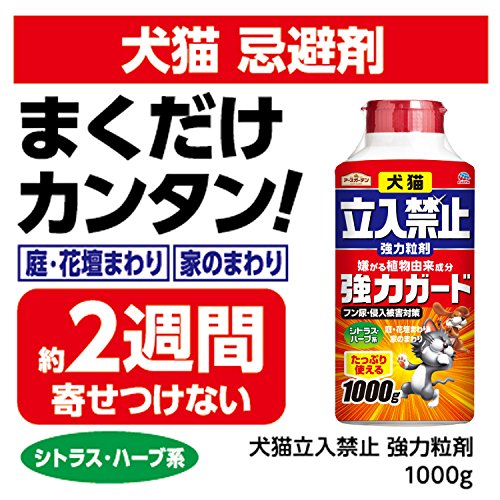 お庭の野良ネコ退治 猫の糞害対策いろいろ 園楽project 園芸 植物を楽しむ情報サイト