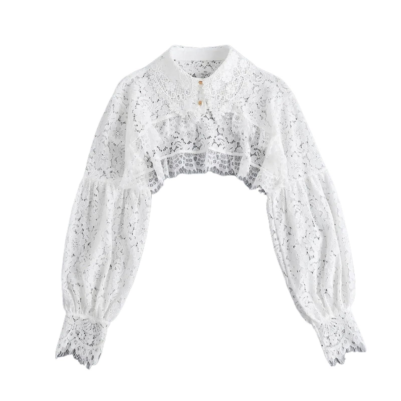 1 Pz Donna Manica Lunga Collare Finto Femminile Risvolto Bottone Imbottiture Mezza Top Camicetta Camicia Colletto Staccabile Autunno Maglione Falso per Maglioni