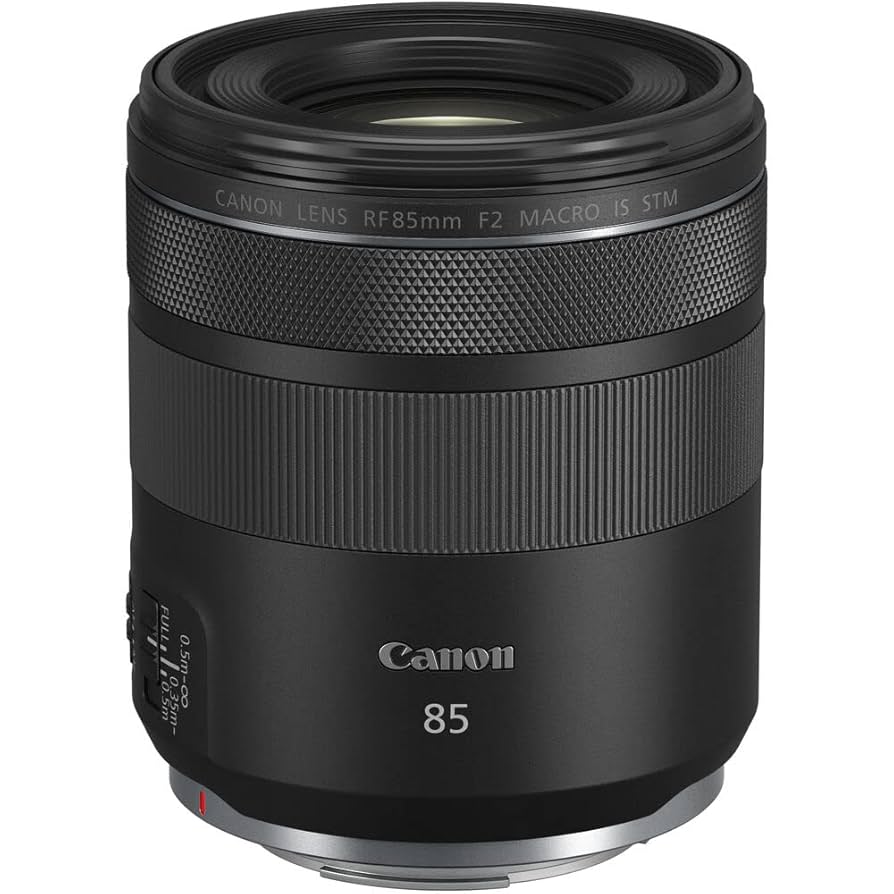 CANON RF 85mm F2 MACRO IS STM 美品 Amazon.com : Canon RF 85mm f/2 Macro is STM Lens (4234C002