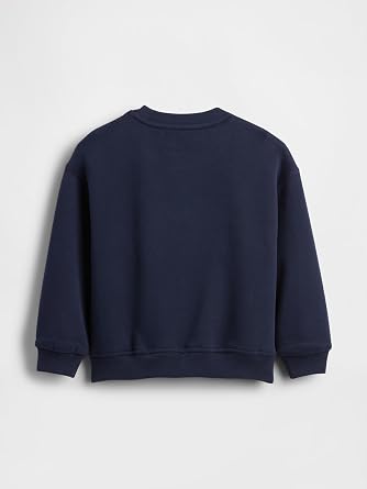 GAP Baby Boys' Icon Pullover Hoodie