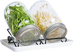 Seed Sprouting Jar Kit (Without seeds)- 2Pcs Sprouter Mason Jars with Screen Lids, Drip Stray, Stand, Sprouts Growing Kit for Kitchen Growing Alfalfa, Broccoli, Mung Bean