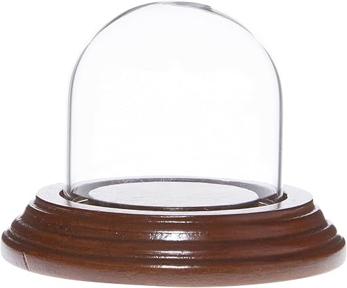 Miniatura 3 de Plymor Mini cúpula de cristal de 2 x 2 pulgadas (base de chapa de roble)