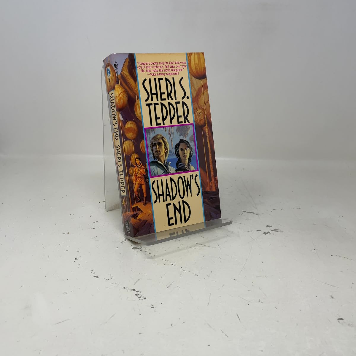 Shadow's End