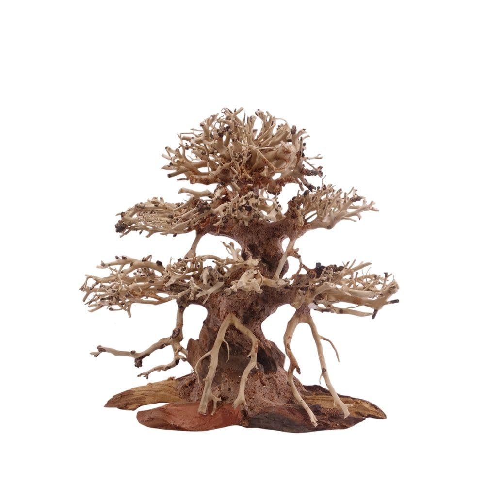 AquaOne Aquarium Premium Bonsai Baum M I Wurzel Oriental Holz 20x12x20 cm I Aquascaping Dekoration I Natur Unikat Bonsaibaum I Landschaft Deko Unterwasserlandschaft