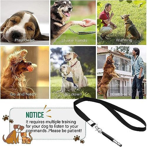LXURY Dog Whistle with Lanyard