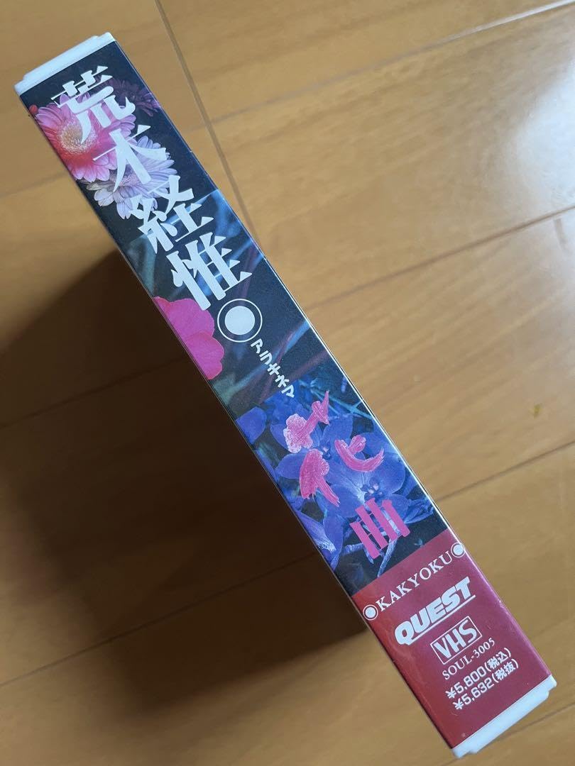 Amazon.co.jp: 荒木経惟/アラキネマ「花曲」 VHSNU25 : 家電＆カメラ