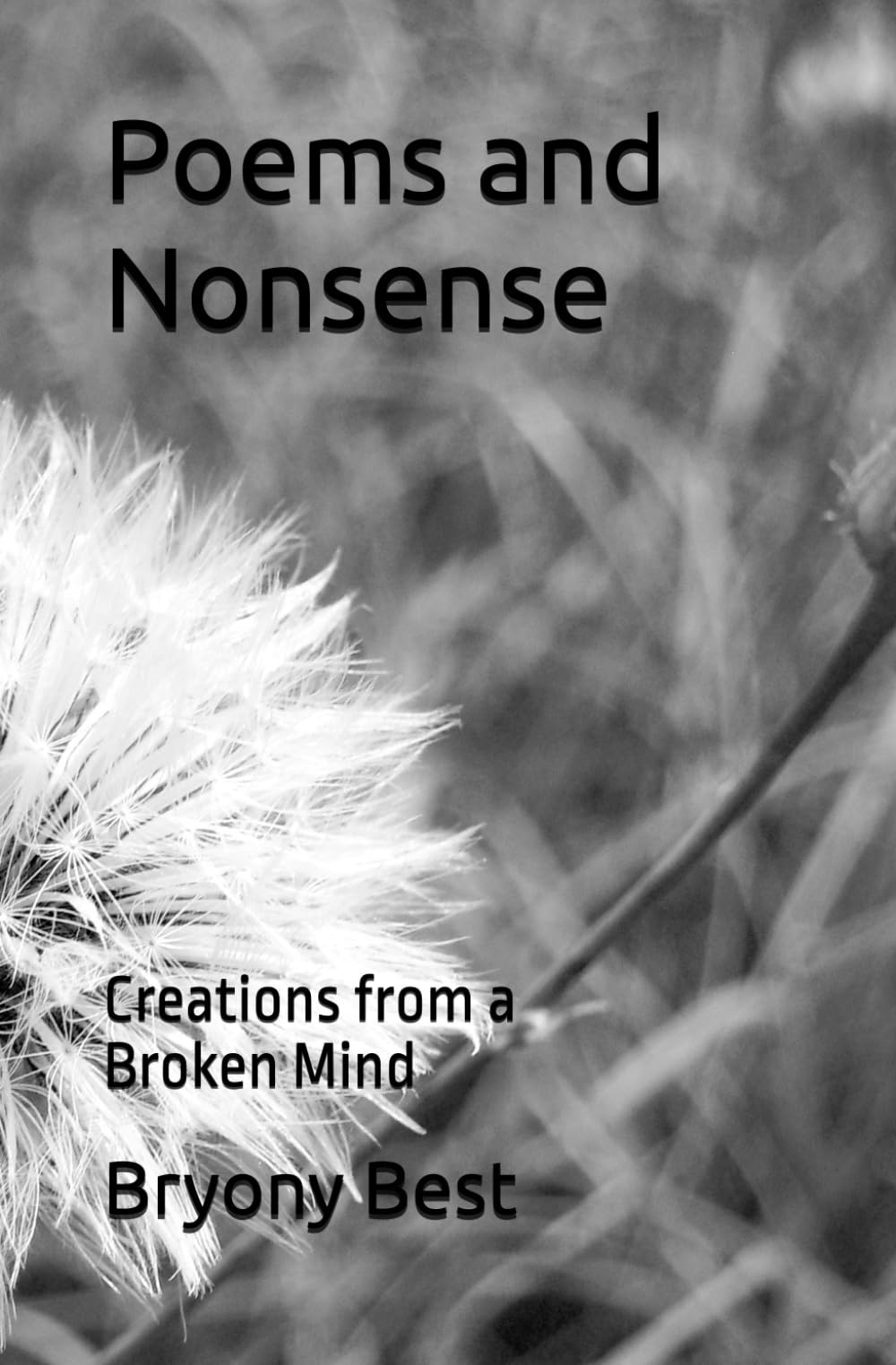Poems and Nonsense: Creations from a Broken Mind