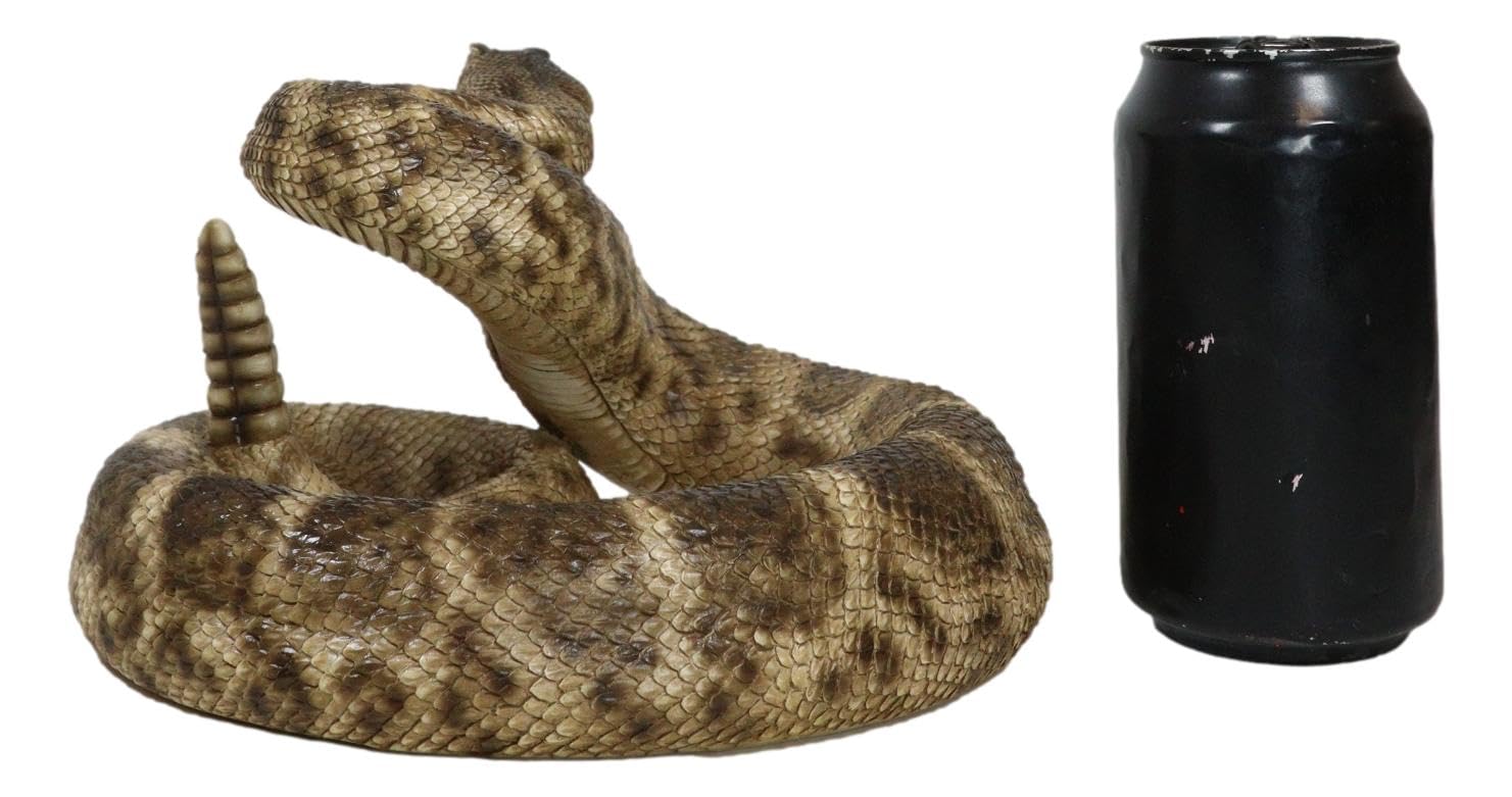 ガラガラヘビの尻尾（大）剥製 ガラガラヘビの尻尾（大）剥製 ガラガラヘビの尻尾（大）剥製