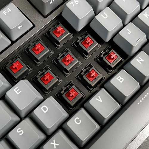 Image of DURGOD Taurus K320 TKL Mechanical Keyboard | 87 Keys Tenkeyless | USB C Wired | Doubleshot PBT Keycaps | Programmable Keys | NKRO Rollover | Windows & Mac | Cherry MX Red, Space Grey