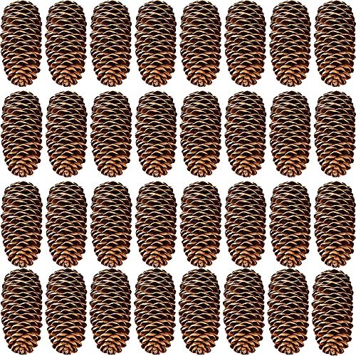 Rcanedny 30 Pieces Large Christmas Snow Pine Cones...