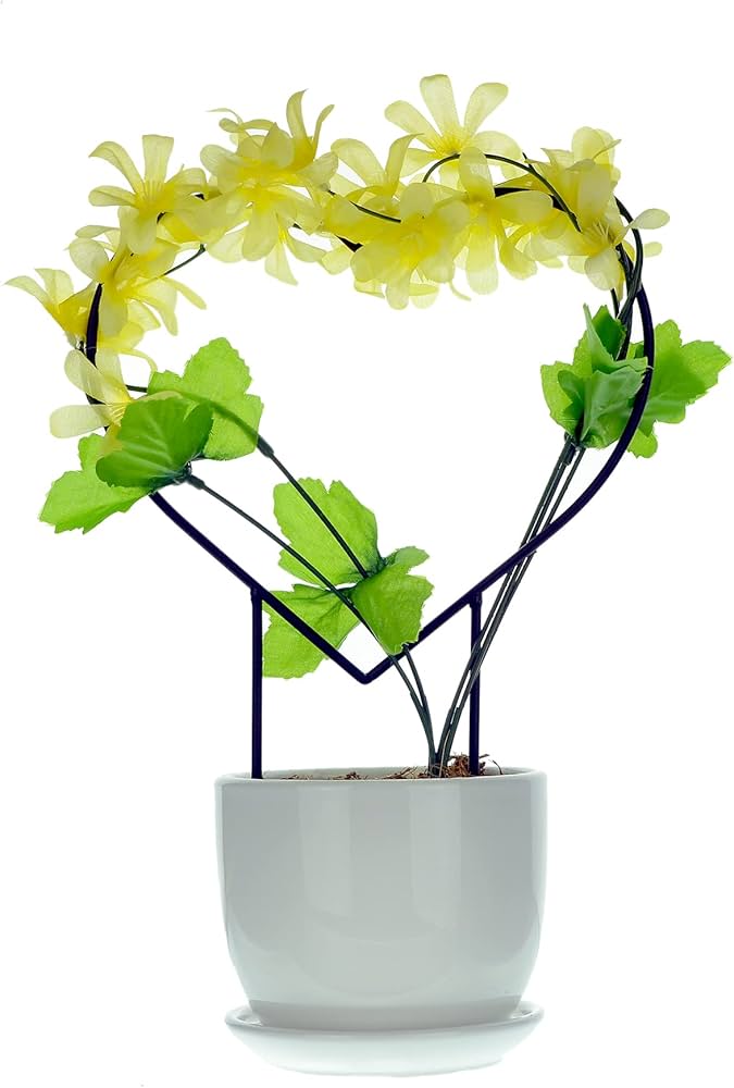 Amazon.co.jp: 屋内植物支柱 楽しい星 月 ハート デザイン 3個セット