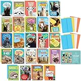 T MARIE 24 Funny Animal Greeting Cards - Humorous Designs with No Repeats - 4.5” x 6.25” Bulk Note Cards for Friends, Kids, Students, Teachers, Summer Camp and More