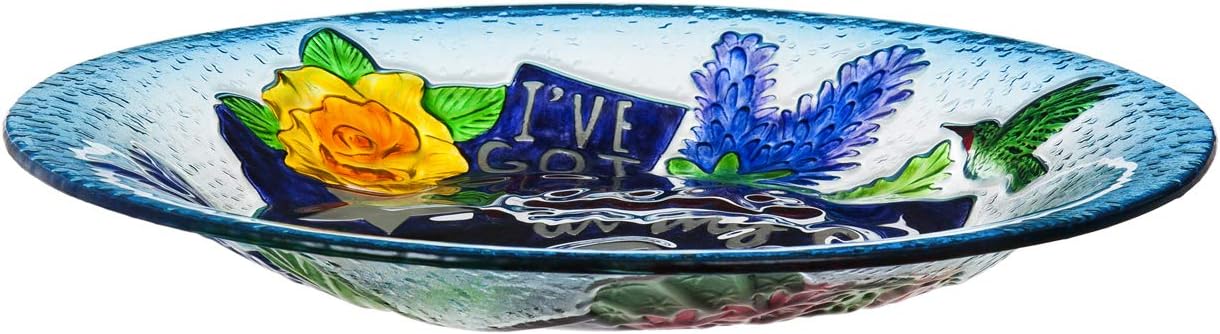 Evergreen Garden Texas Soul Glass Bird Bath - 18 x 2 x 18 Inches, 64 oz. Outdoor Décor for Your Garden, Patio or Lawn. Bird Lovers Glass Bird Bath or Feeder Dish