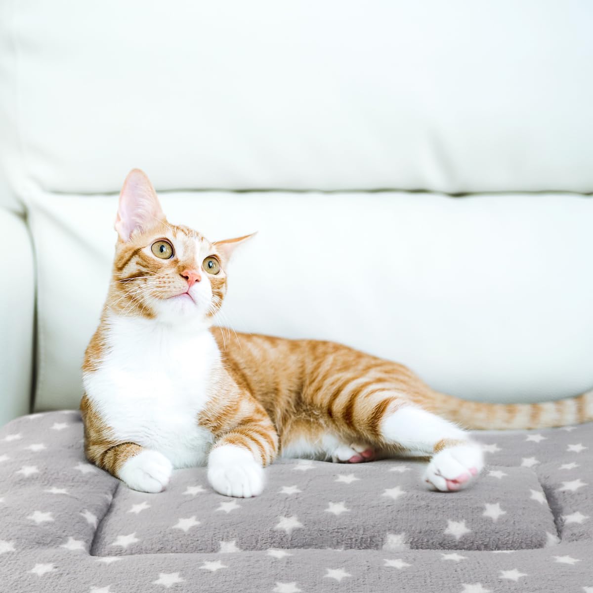 Katzendecke für Indoor-Katzen, ultraweich und warm, beruhigendes Katzenbett, Fleece-Haustiermatte für Angst und Stress, waschbar, 2 Stück