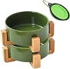 Petygooing Ceramic Cat Dog Bowl Set with Stand,Small Dog Bowls, Pet Food and Water Dish, Anti Slip Set of 2 Cat Bowls- Cute Modern Pet Food Bowl Small Size Dog 13.5OZ5.1 in Rust Green