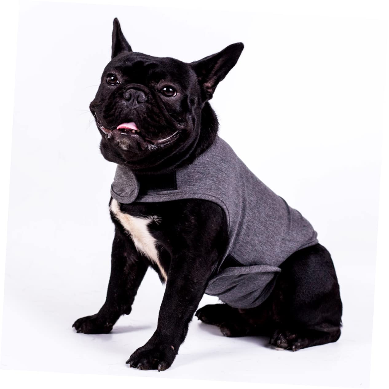 Toddmomy Protection Dog Jacket Emotional Appeasing Pet Jacket Size s Gray Pet Calming Clothes