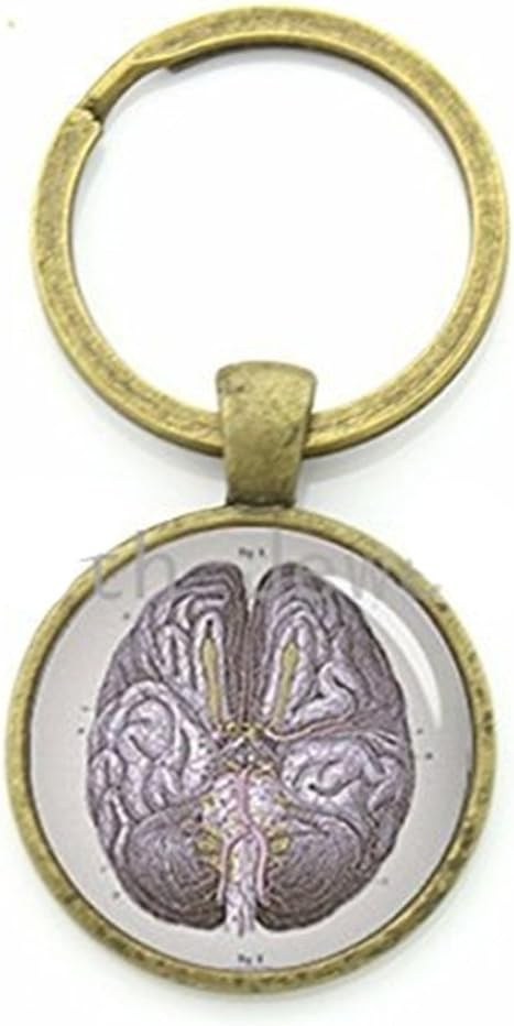 Retro Anatomy Jewelry Anatomical Brain Keychain Human Brain Anatomy Body Keyring