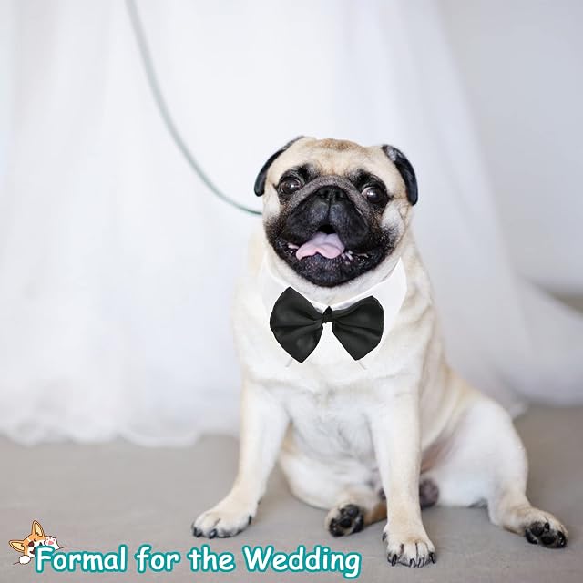 Foto 4 de 7 de HACRAHO Pajarita de esmoquin para perro, 1 paquete de corbata formal de algodón suave blanco para cachorros