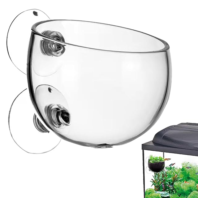 Macetero con Ventosa, Soporte para Plantas de Acuario Transparente