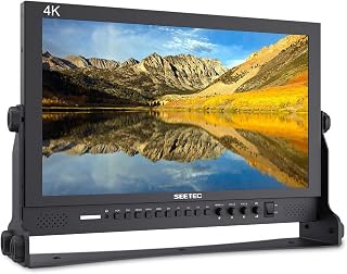 SEETEC P173-9HSD 17.3 Inch 1920x1080 Desktop Monitor for Broadcast LCD Monitoring with 3G-SDI HDMI AV YPbPr