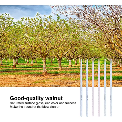 5A Baquetas, baquetas antideslizantes 6 unidades para amantes de música