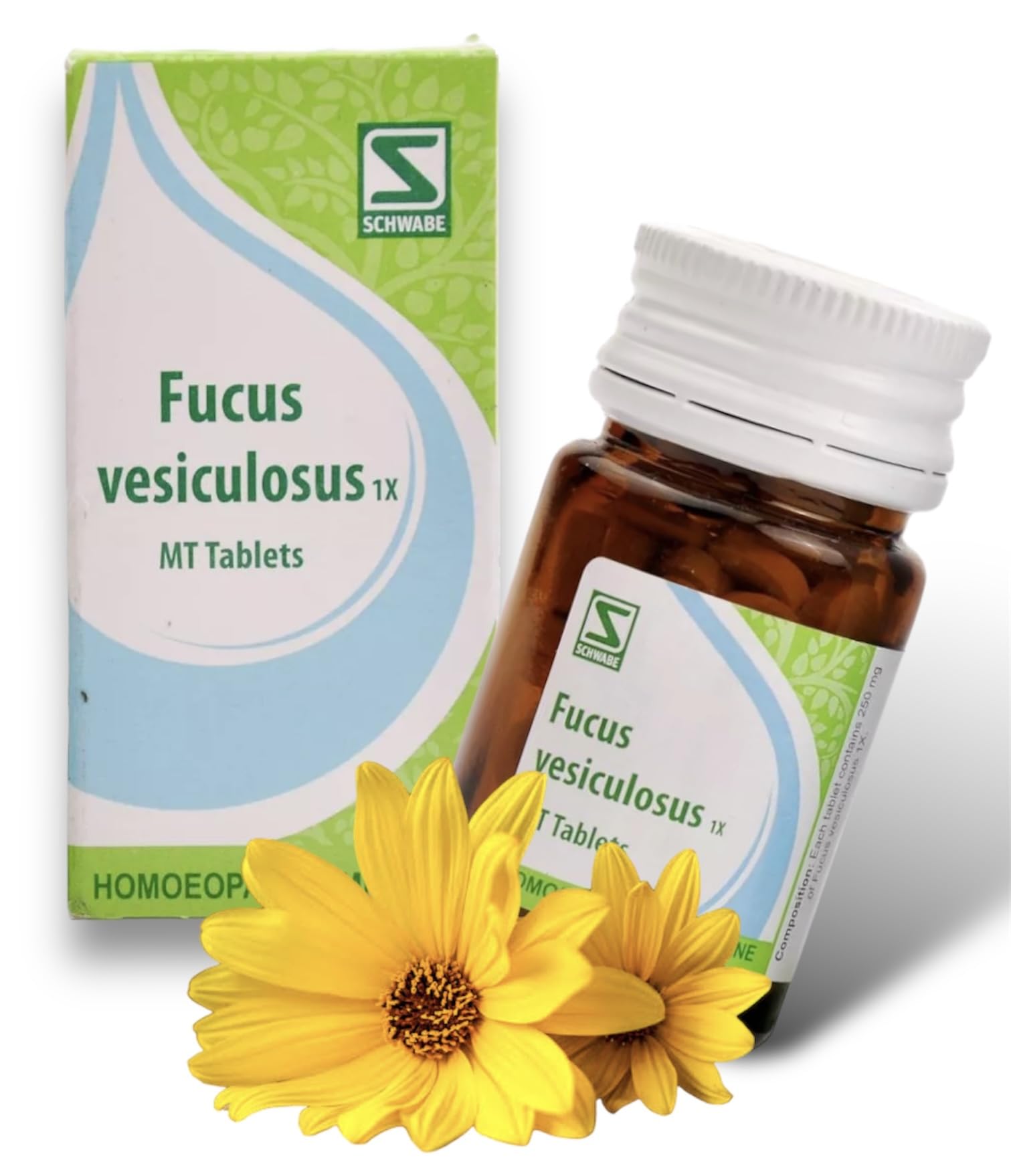 Willmar Schwabe Fucus Vesiculosus 1X Tablets (Fucus Mother Tincture Extract) 20g Set of 1 Bottle-picture-24