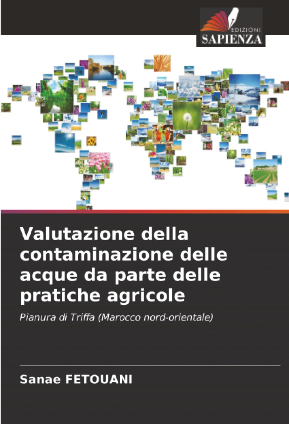 Valutazione della contaminazione delle acque da parte delle pratiche agricole: Pianura di Triffa (Marocco nord-orientale)