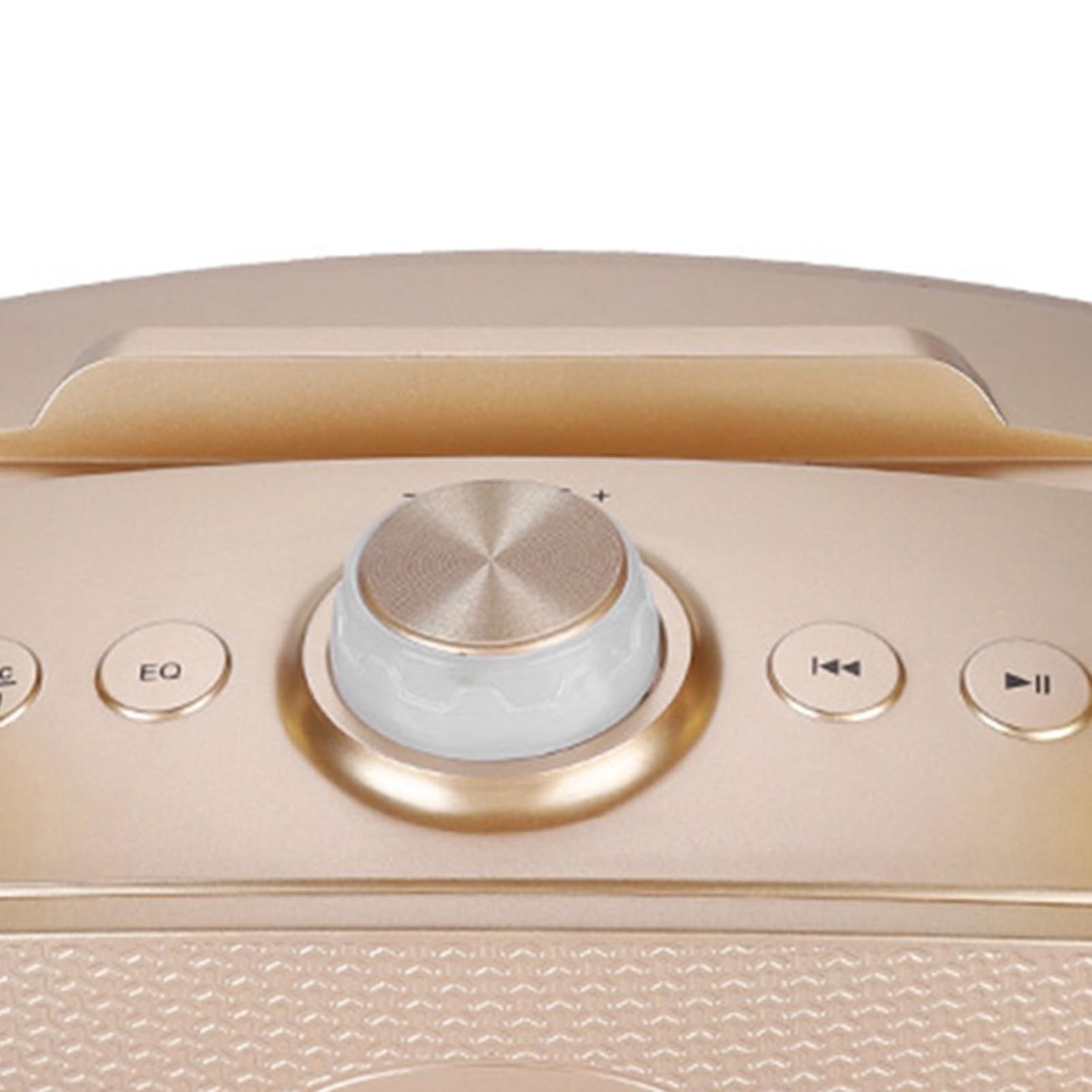 Unidad de Karaoke Altavoz de Karaoke Altavoz Bluetooth Inicio KTV Karaoke Altavoz Bluetooth con Dos micrófonos(Oro)