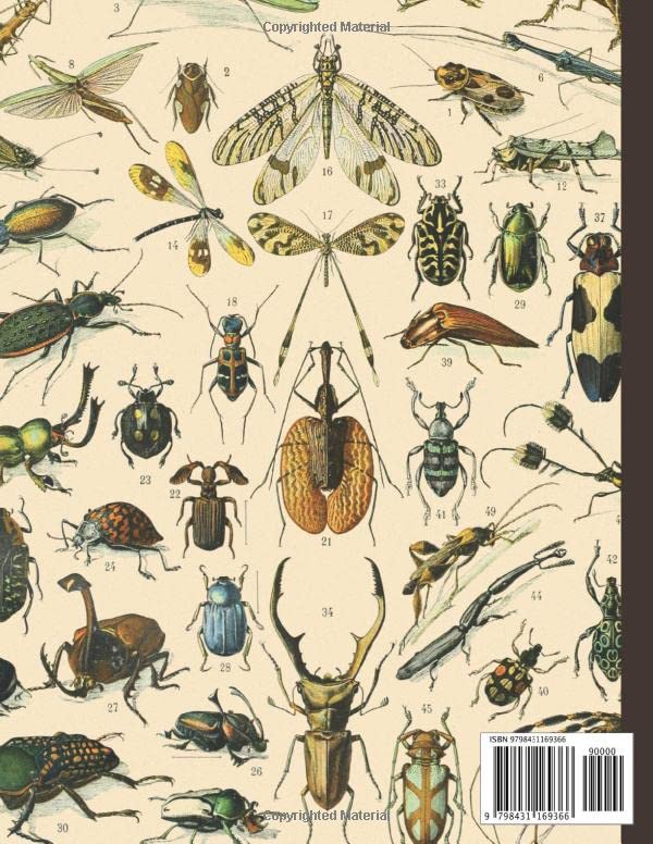 Composition Notebook: Vintage Insect Illustration. Entomology Journal, College Ruled, 120 Pages, 8.5" x 11" - Image 2