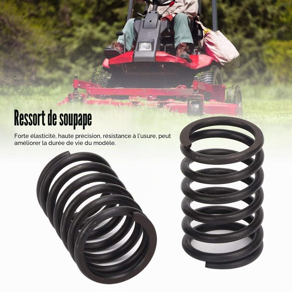 Ensemble de Ressort de soupape de Moteur de Voiture Remplacement de Ressort de soupape de Haute dureté 12 pièces pour Automobiles