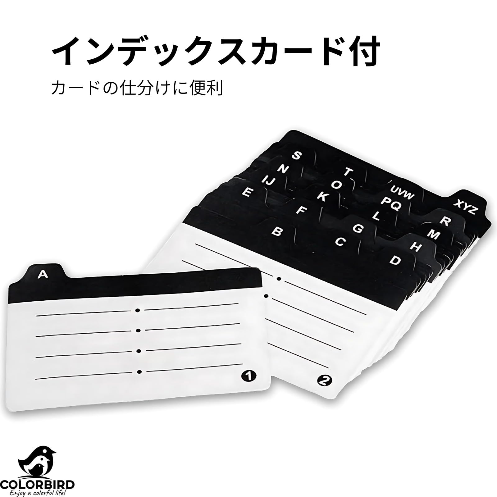 カード入れ(500枚) 71XYZ3mqVgL._AC_UF1000,