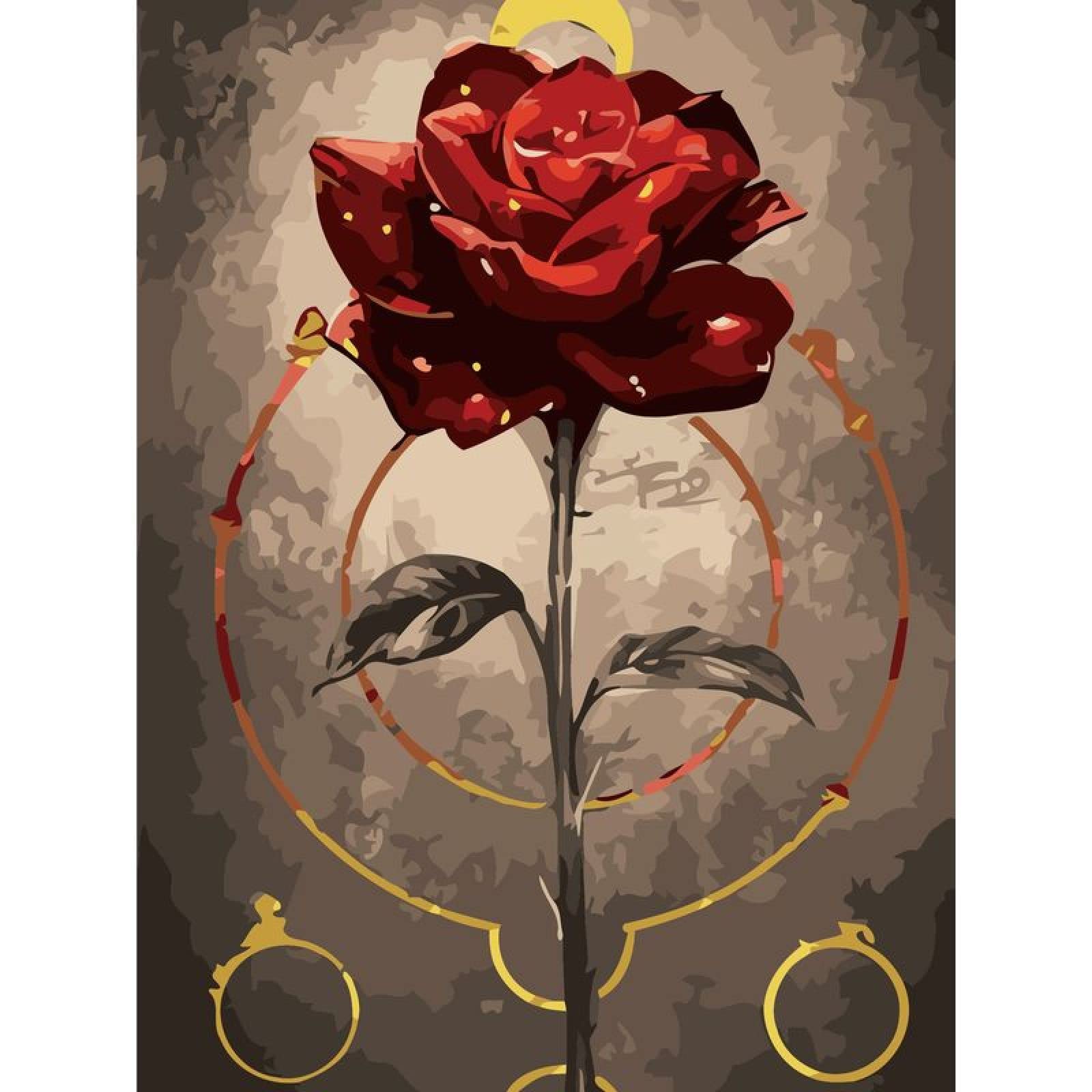 Malen Nach Zahlen Set 'Rote Rose' – Für Erwachsene & Anfänger, 40x50 Cm Mit Holzrahmen
