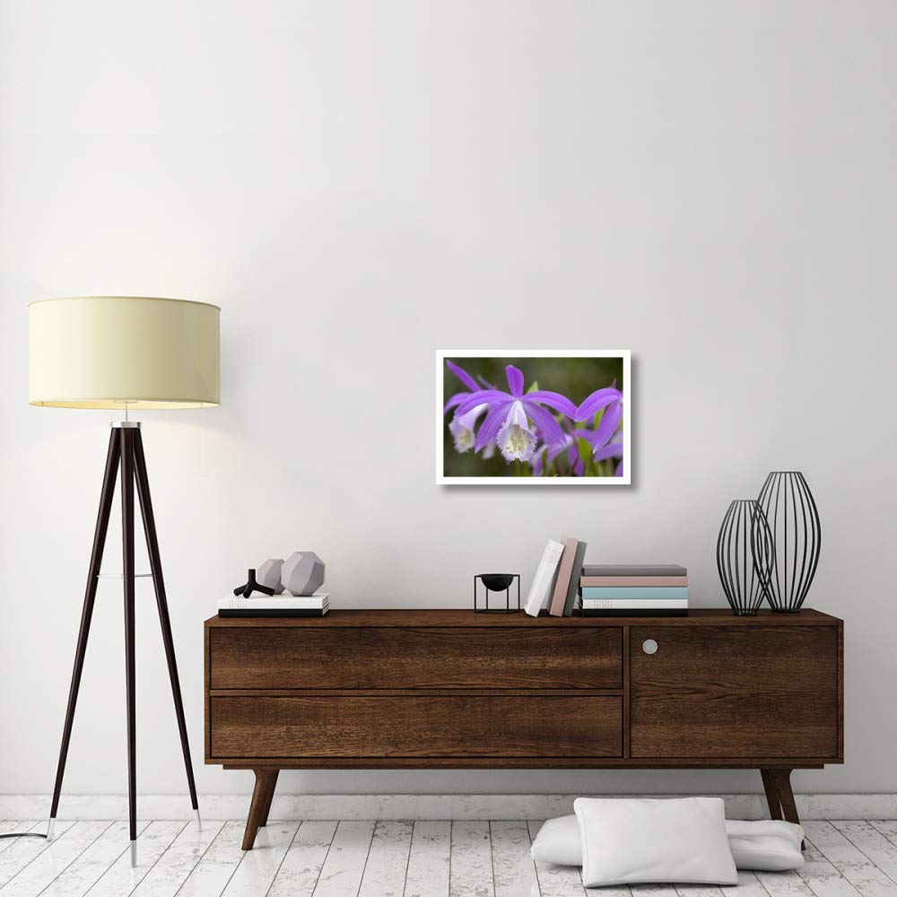 Artworks Italia Orchidée Fleurs Papier Art 66 x 45,7 cm