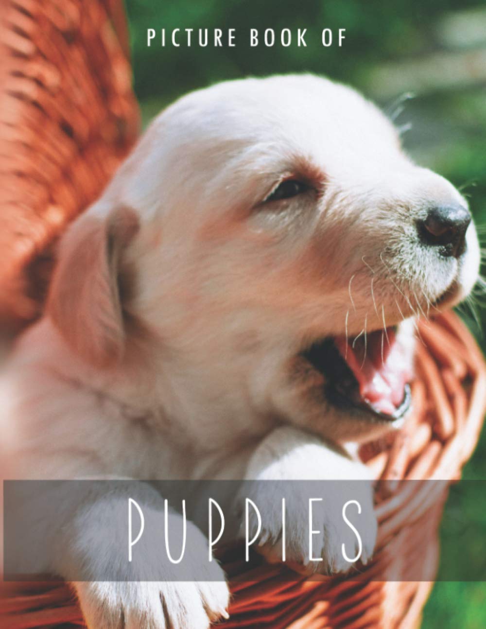 Picture Book of Puppies: for Alzheimer's Patients and Seniors with Dementia. (Colorful Picture Books for Alzheimer's Patients and Seniors with
