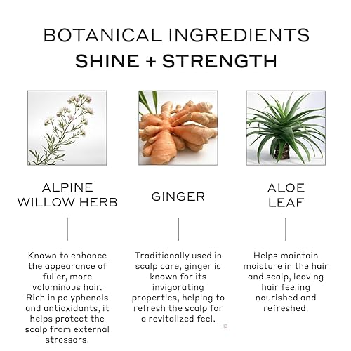 Miniatura 3 de Zenagen Evolve - Acondicionador acelerador profesional, 16 fl. oz.