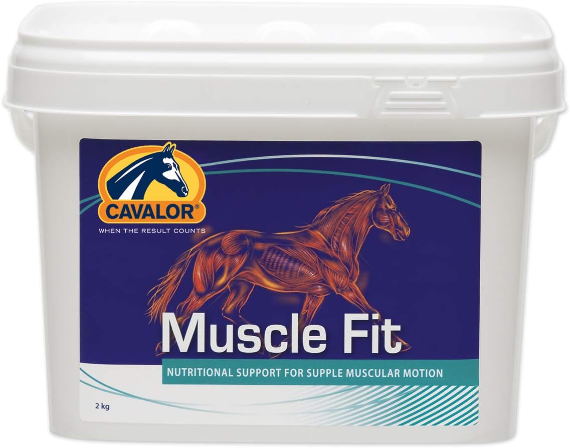 Muscle Fit