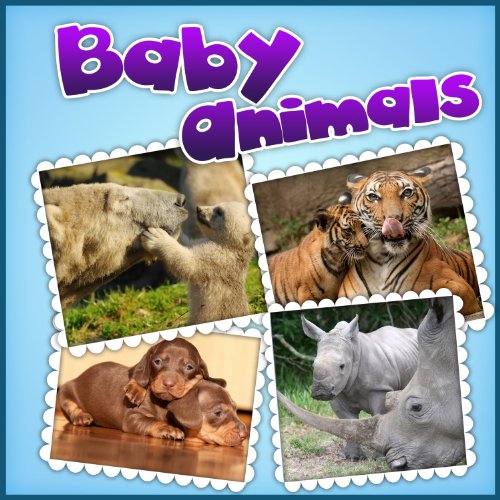 Children's Book Baby Animals (Great Book for Children) (Age 4 9