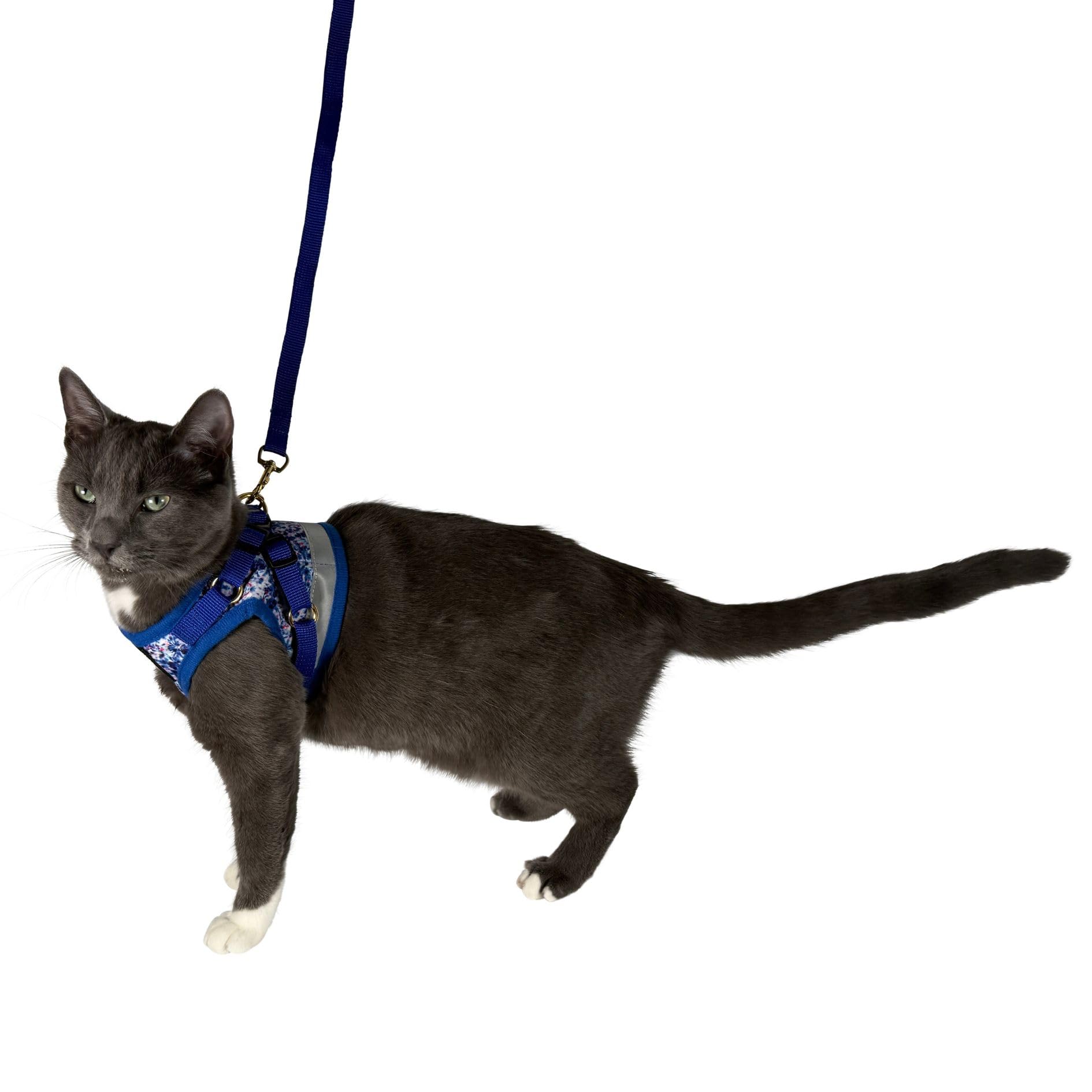 Ensemble Harnais et Laisse de Voyage pour Chat – Harnais réglable en Maille et Sangle réfléchissante – Gilet de Marche Confortable pour Chaton pour la Promenade en Plein air, la randonnée (Taille S