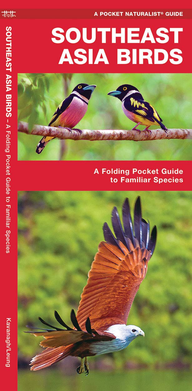 Southeast Asia Birds: A Folding Pocket Guide to Familiar Species (Nature Observation International)