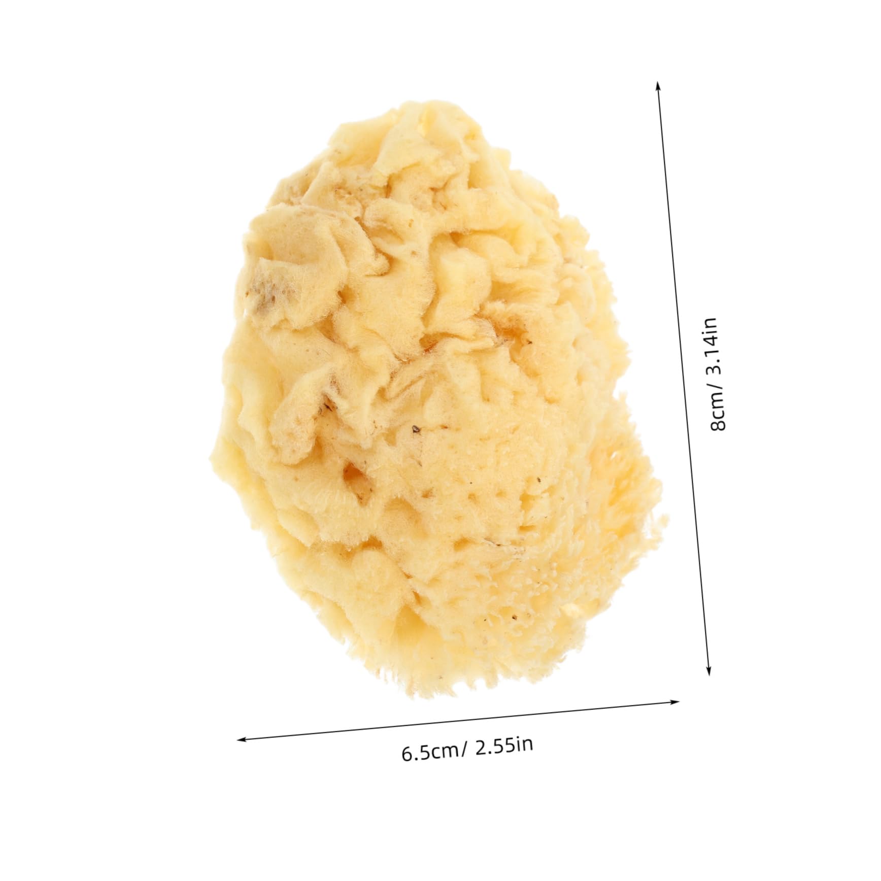CIMAXIC Natural Sea Sponge Paint Tool for Soft Water Absorbing Sponge for Watercolor Texture Painting for Craft Projects Professional Art