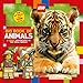 Big Book of Animals (LEGO Nonfiction)