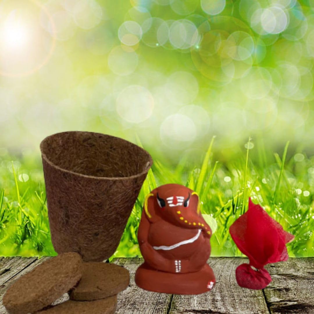 Ganpati Bappa in Green Style – Eco Idol + DIY Planting Kit-image-37