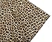AVANZADA Men's Short Sleeve Shirts 3D Leopard Print Button Down Casual Tropical Shirts for Men Beach Hawaiian Aloha Shirt(print1-M)