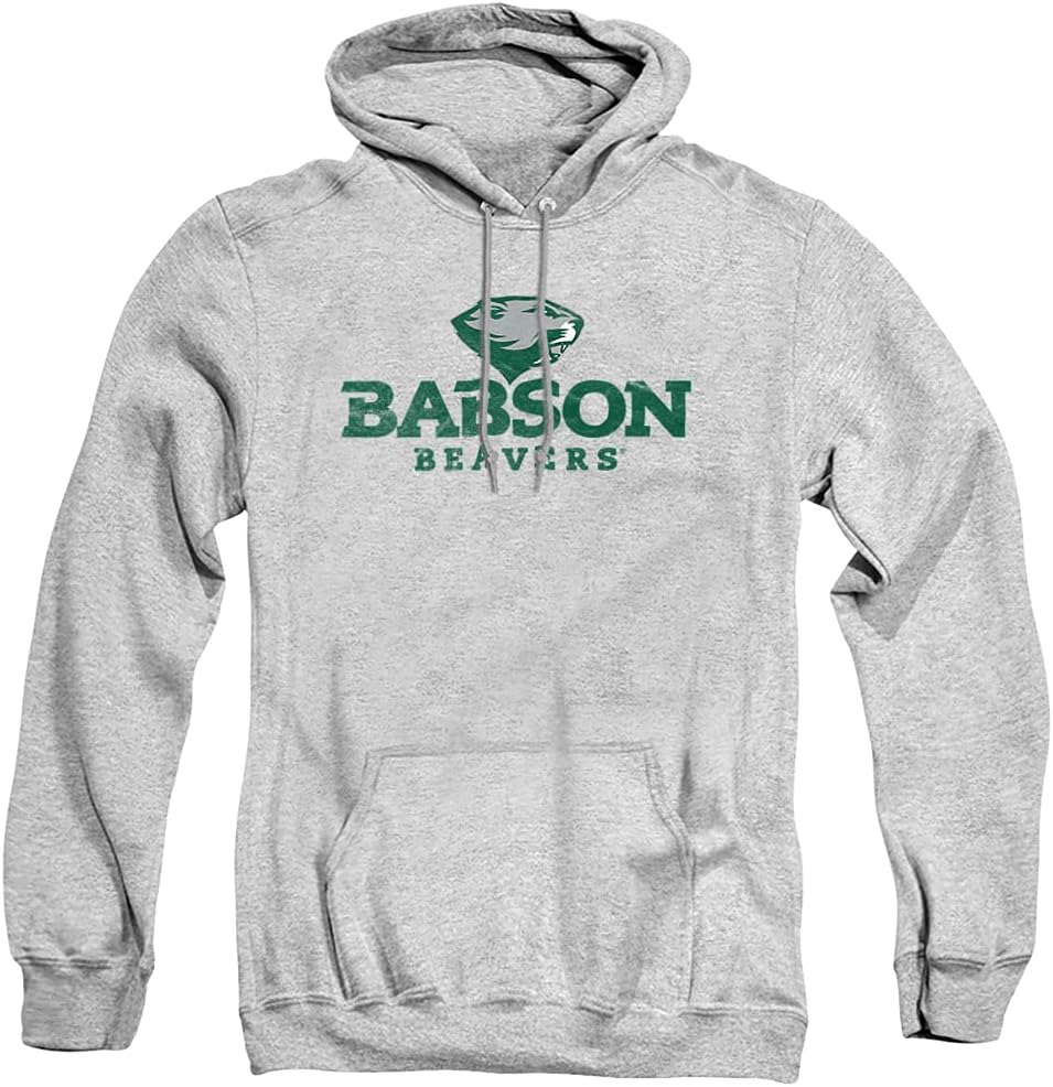 LOGOVISION Official Collegiate Distressed Primary Logo Adult Pullover Hoodie Collection