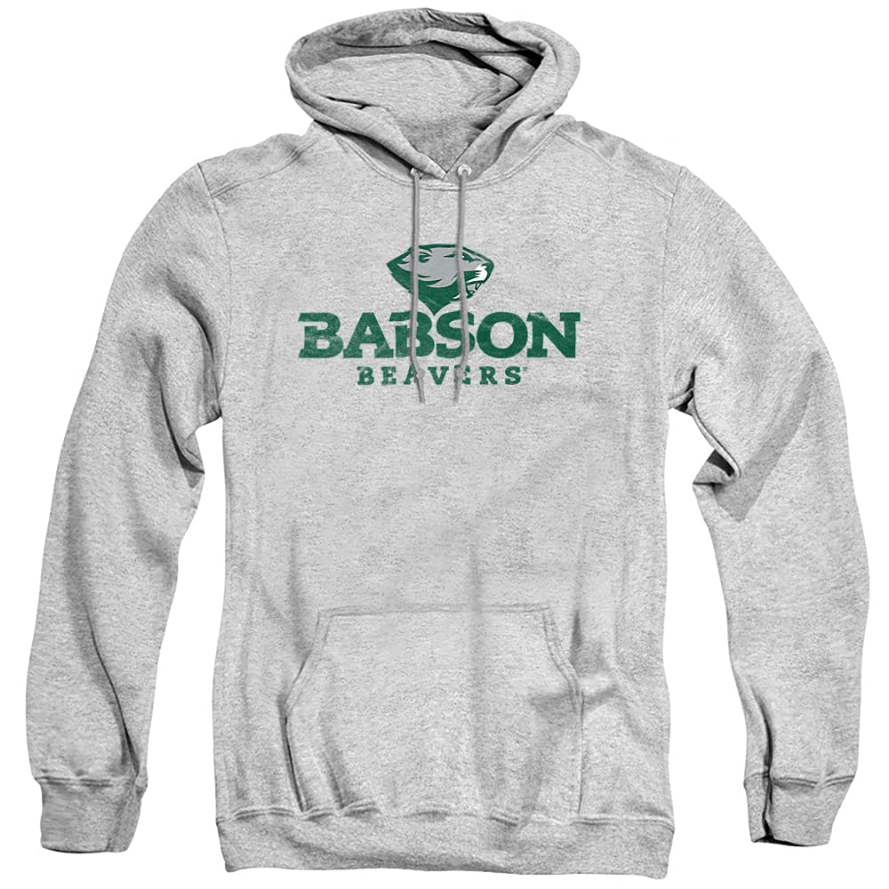LOGOVISION Official Collegiate Distressed Primary Logo Adult Pullover Hoodie Collection — view 259