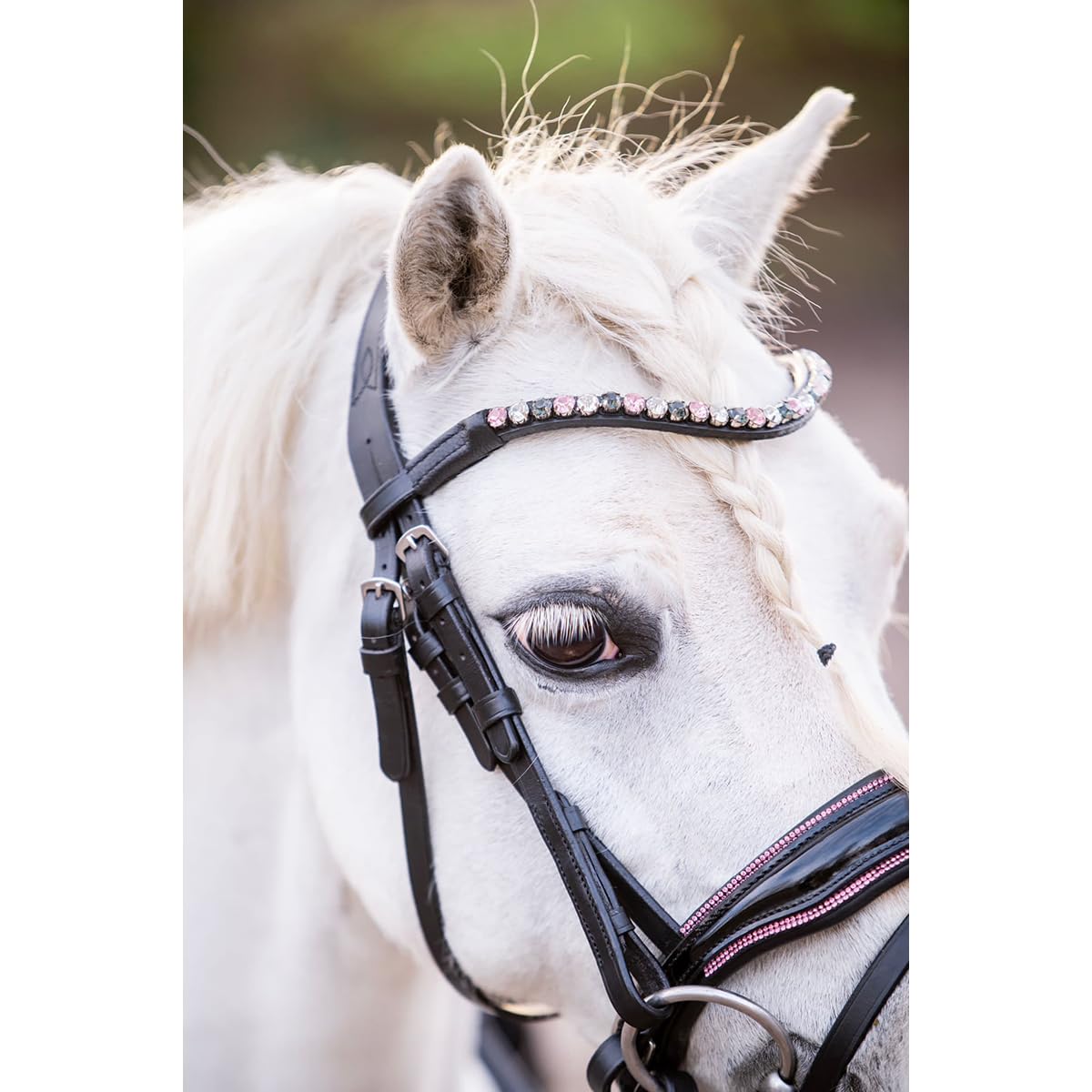 Hb Briglia Showtime Special A-Pony Black-Pink in Size: Pony (EU). - Nero-Rosa - Pony