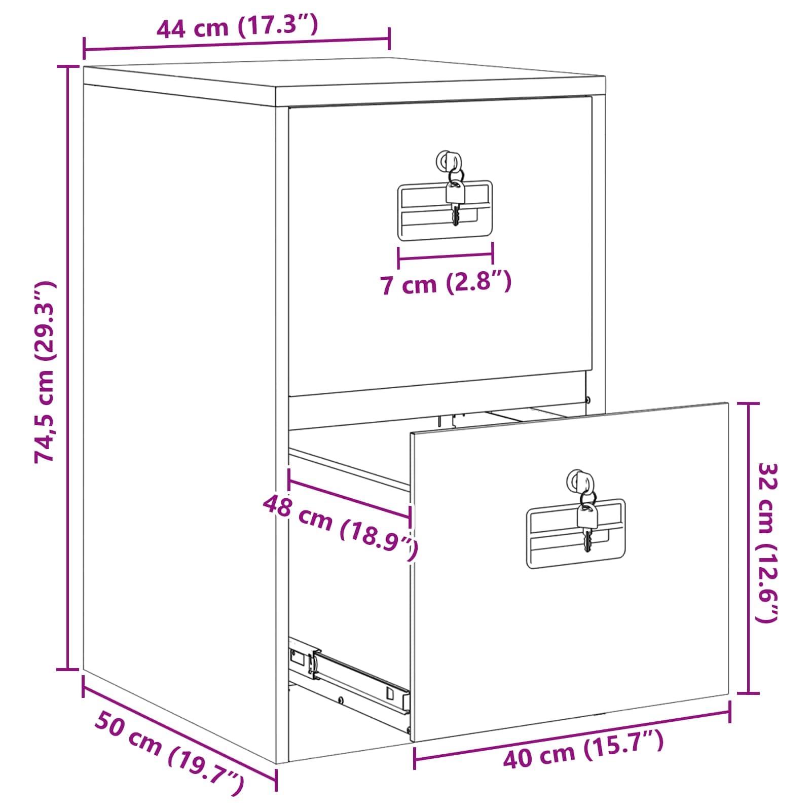 vidaXL Mueble archivador con cajón Antracita 44 x 50 x 74,5 cm, Armario metálico Rectangular, Almacenamiento Industrial, Organizador de cajones, solución Segura para Oficina