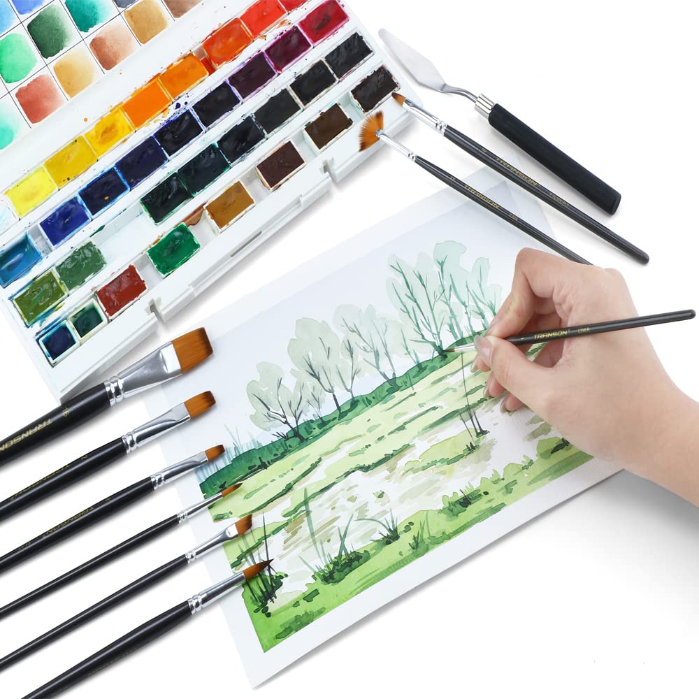 Transon Paint Brush Kit - 10 Brushes & Spatula -5